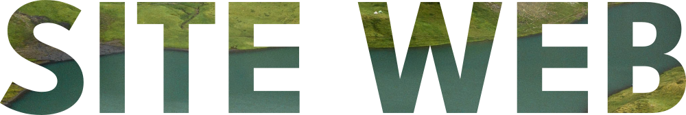 Site web - version image incrustée
